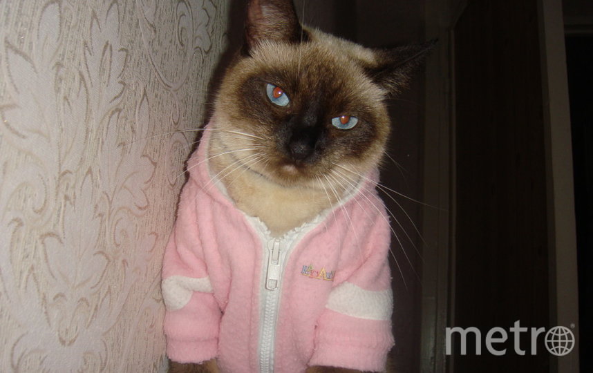 Кто сказал, что дома можно не модничать? Фото Анна , "Metro"