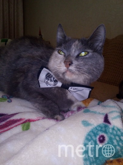 Интеллектуалка Сима в бабочке с изображением Есенина. Фото Сергей, "Metro"