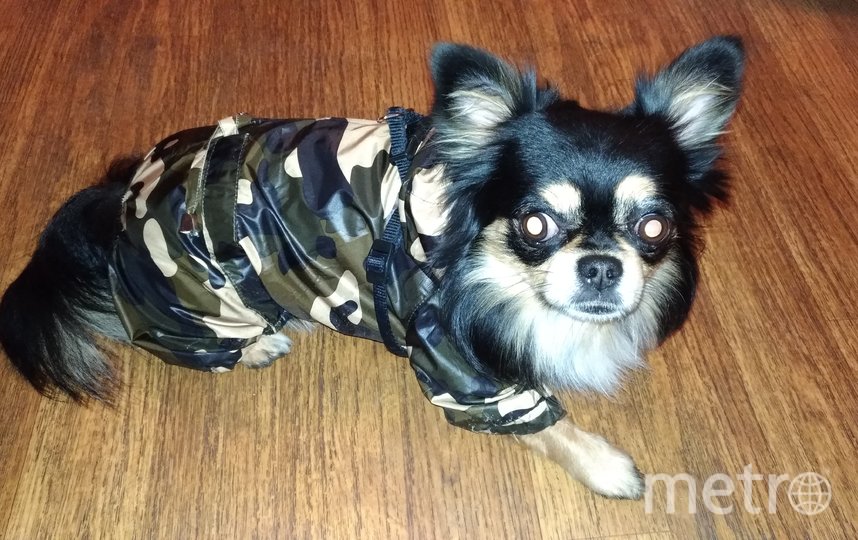 Рэй с радостью демонстрирует свои костюмы прохожим, а вот "папарацци" недолюбливает. Фото Наталья, "Metro"