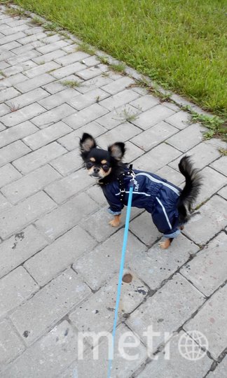 Рэй с радостью демонстрирует свои костюмы прохожим, а вот "папарацци" недолюбливает. Фото Наталья, "Metro"