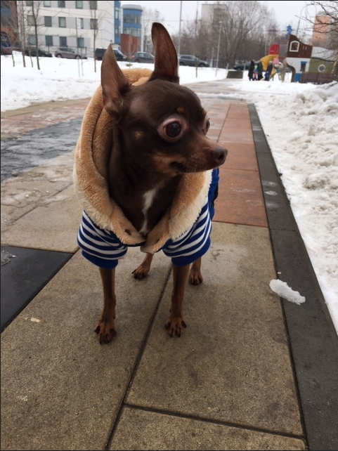 Этот малыш тоже любит модные "луки". Фото Екатерина, "Metro"