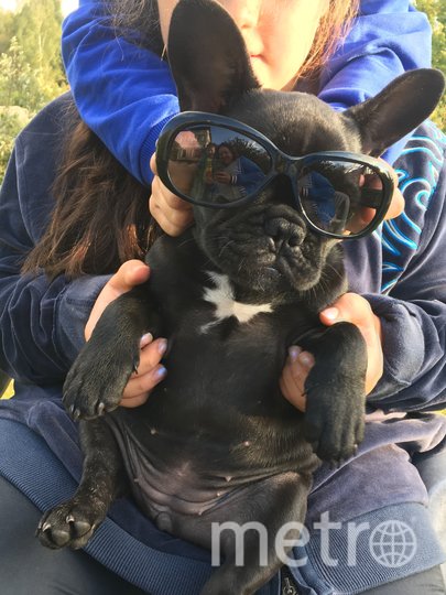 Милашка Маня. Фото Надежда, "Metro"