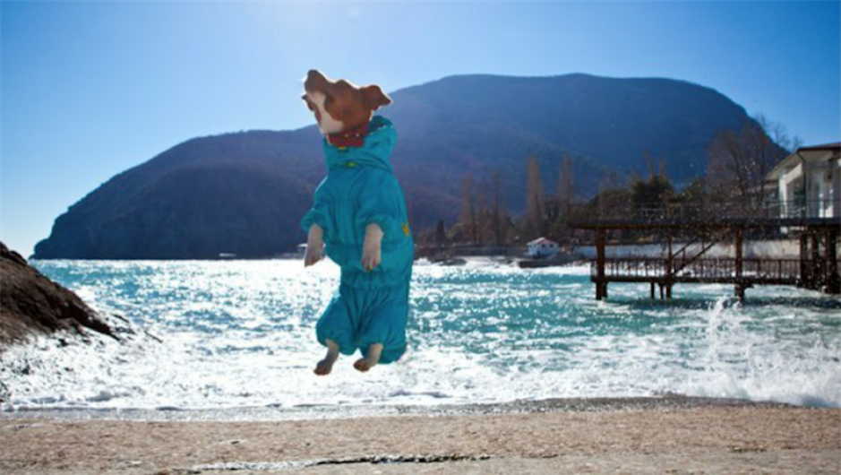 Граза - модель. Ей комфортно и в одежде, и без.Главное - побыстрей в путешествие! Фото Ксения, "Metro"