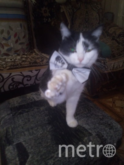 Чучундра передает всем привет! Фото Сергей, "Metro"