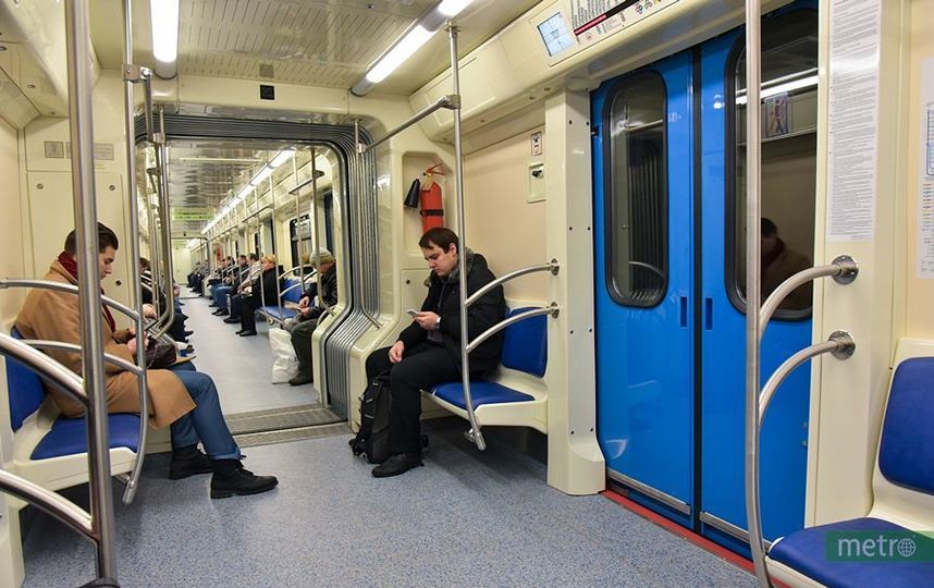 Сбой на серой ветке московского метро произошёл из-за падения на пути пассажирки
