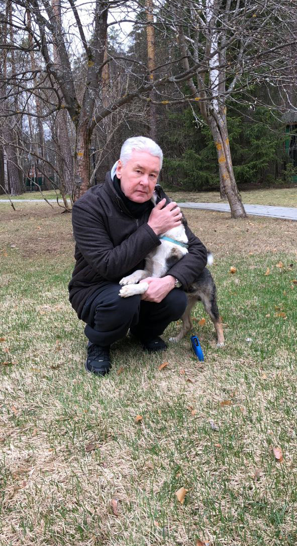 Сергей Собянин со своей собакой на прогулке. Фото персональный сайт Сергея Собянина