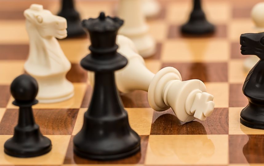 Шахматы не станут обязательным школьным предметом в российских школах