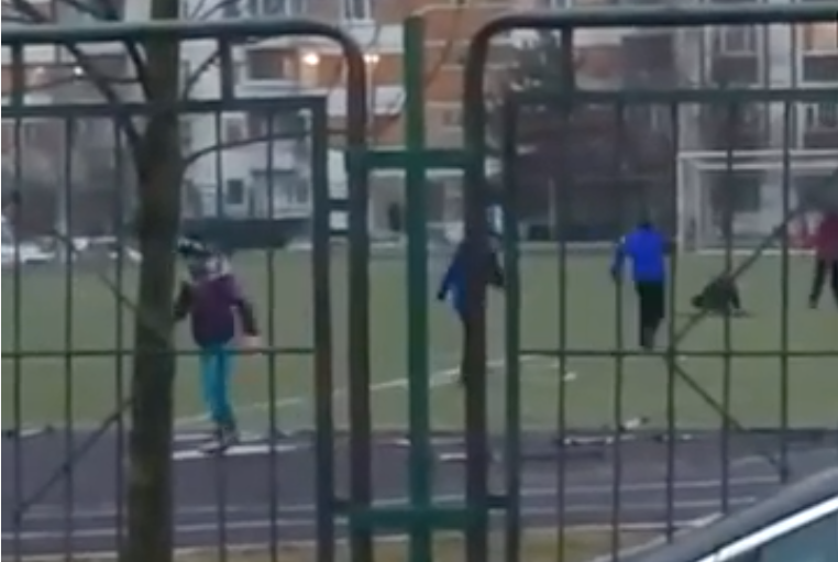 Школьники в Москве устроили лыжный забег на траве и попали на видео. Фото скриншот youtube.com/watch?v=u9aMtGHfIw4