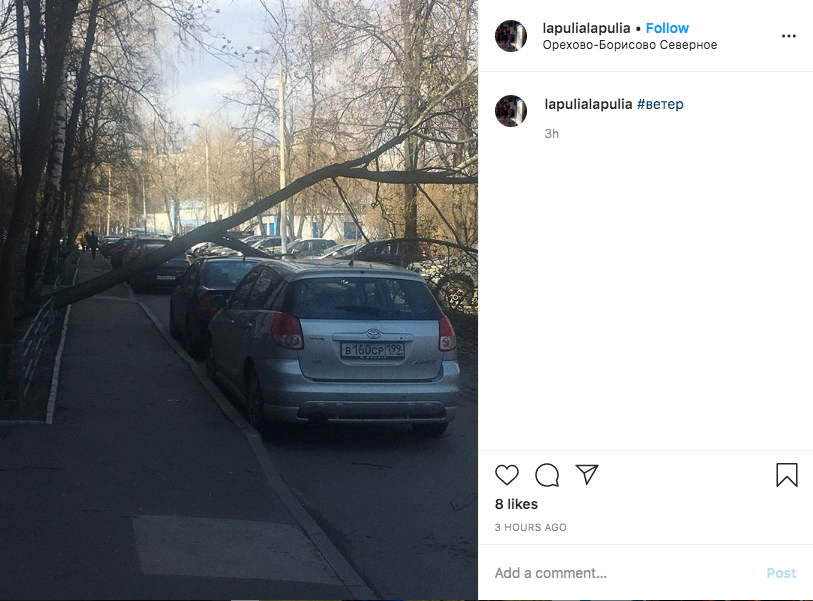 Сильный ветер в Москве повалил более 30 деревьев