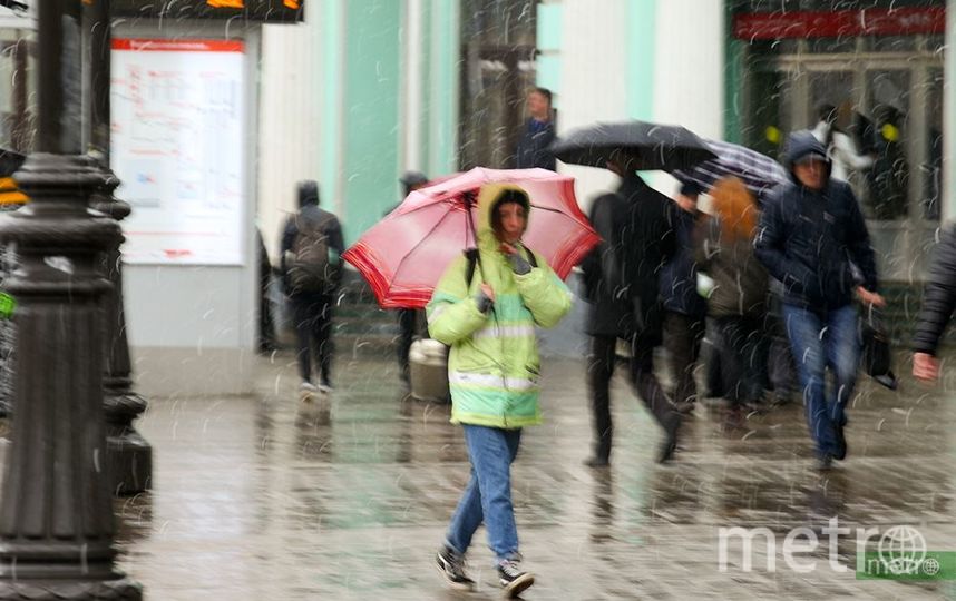 Штормовое предупреждение объявлено в Москве. Фото Василий Кузьмичёнок, "Metro"