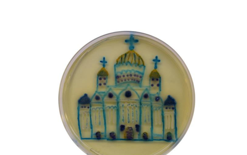 Все фото предоставлены организаторами.