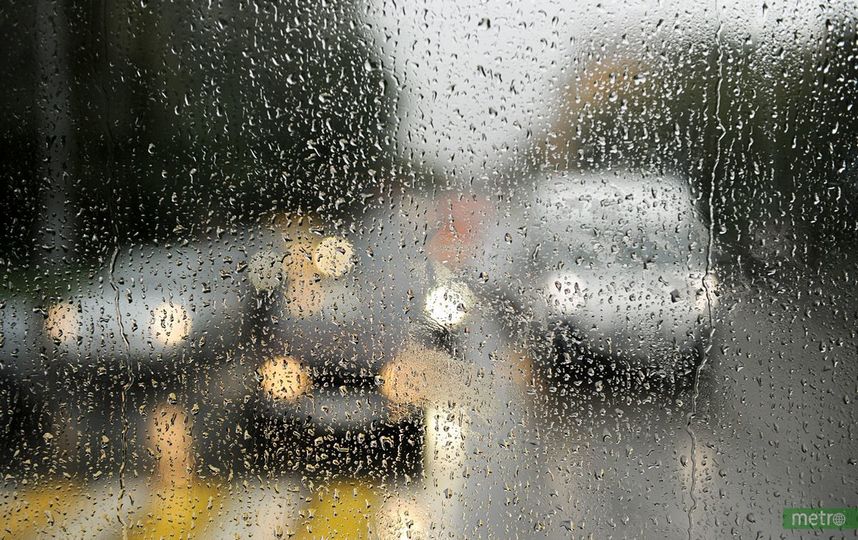 Синоптики предупредили москвичей о грозе и ветре до 20 м/с. Фото Василий Кузьмичёнок