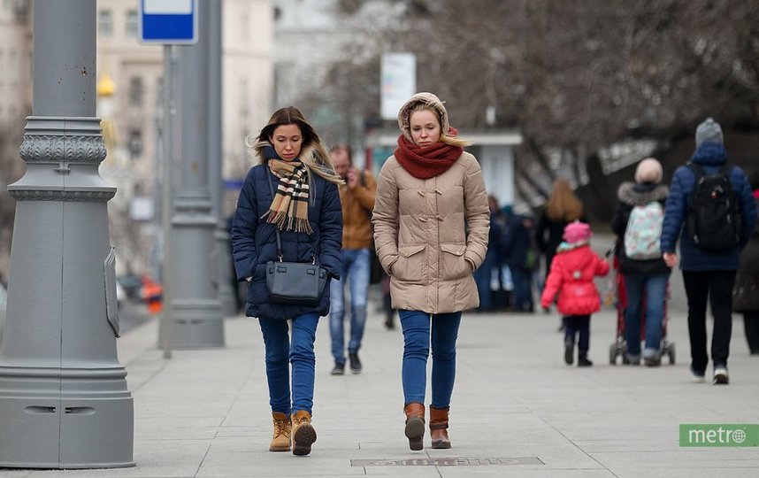 Синоптики рассказали, когда в Москву придёт похолодание. Фото Василий Кузьмичёнок