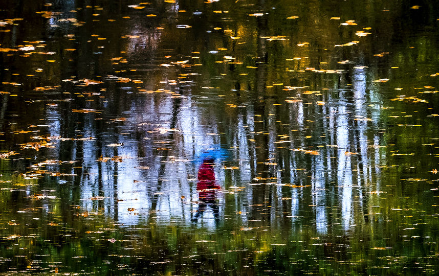 "Золотая" осень продолжит радовать москвичей. Фото AFP