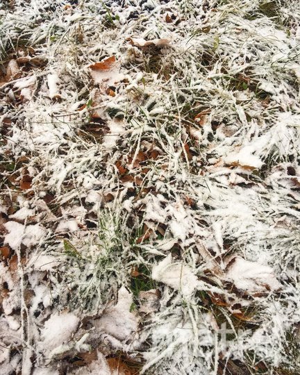 Нереальная красота. Фото Скриншот Instagram/life.compote, "Metro"