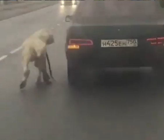 Видео издевательств над Зафиром собрало тысячи комментариев в соцсетях. Фото скриншот instagram.com/alabaihelp.