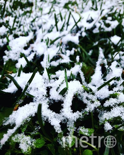 Снежная Москва. Фото Скриншот Instagram/nik77elena77, "Metro"