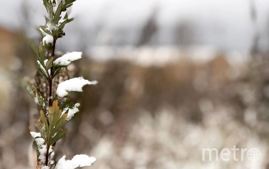 Посёлок Марьино. Фото Скриншот Instagram/vladimir_beltsov, "Metro"