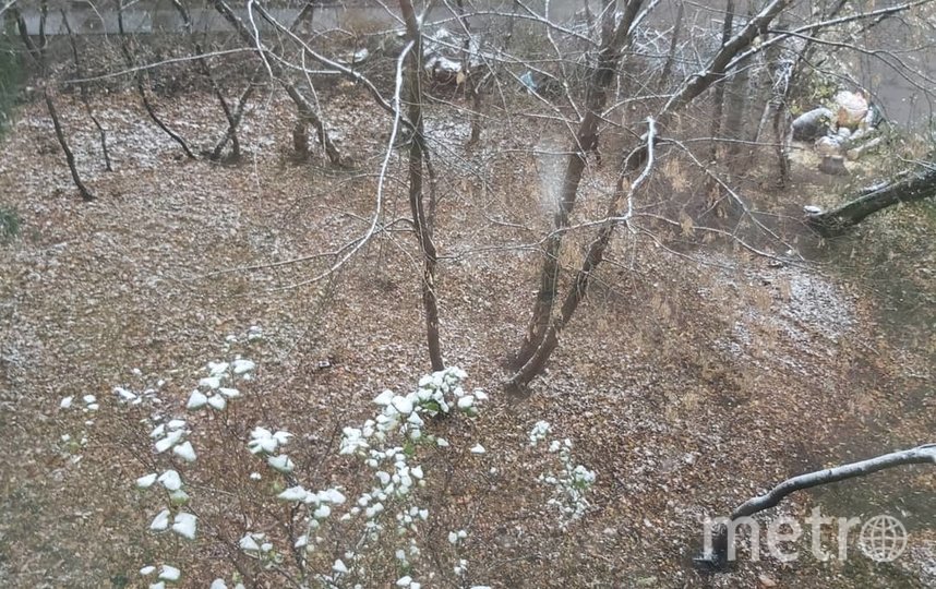 Снег возле "РЖД-Арены" в Москве. Фото Скриншот Instagram/baby_snopy, "Metro"