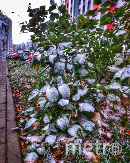 А вот и виды на Кунцево. Фото Скриншот Instagram/snailvvv, "Metro"