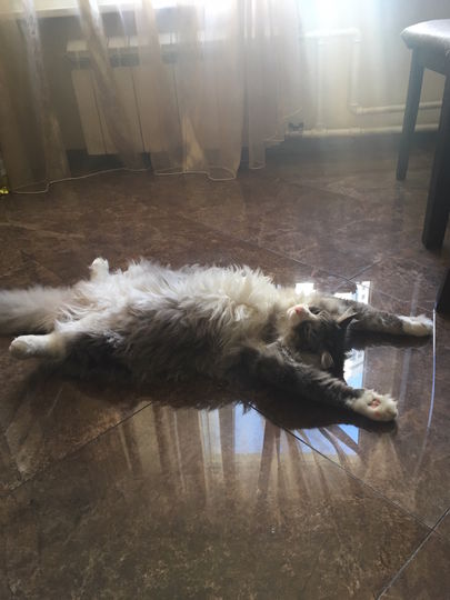 Таити, Таити, не были мы не на каком Таити, нам и здесь неплохо спится... Фото Ольга