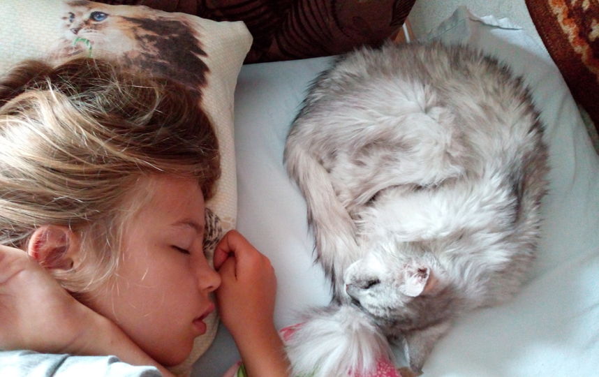 Спят вместе кошка Клёпа (20 лет) и моя дочь Богдана. Фото Юлия