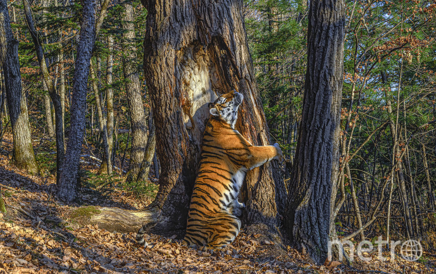 Фестиваль "Первозданная  Россия". Фото "Metro"