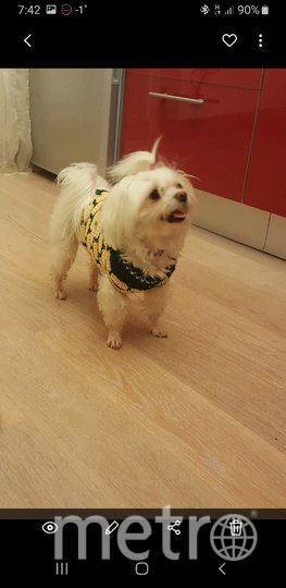 Пэрис и её образы для "красных дорожек". Фото Александр Власенко, "Metro"