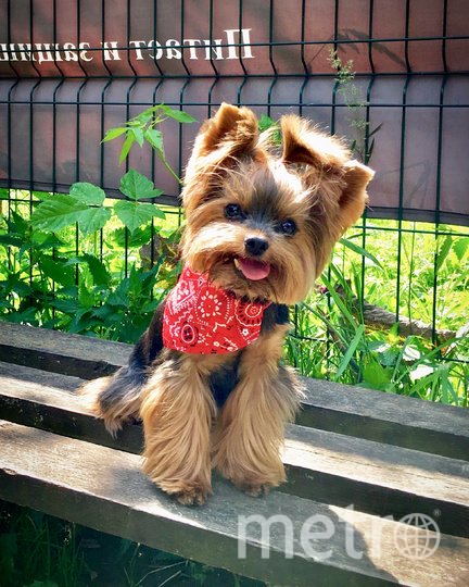 Она вообще та ещё модница! Фото Шульга Эвелина, "Metro"