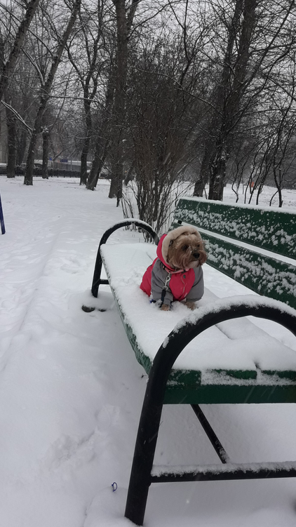 Красотка-Ладушка. Фото Елена Тимофеева, "Metro"