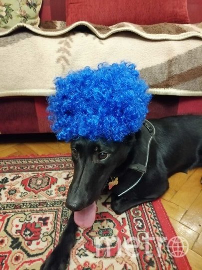 Вивьен и её новогодний образ. Фото Анастасия Погорелова, "Metro"