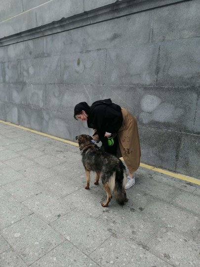 Столичные спасатели вытащили собаку, упавшую в Москву-реку