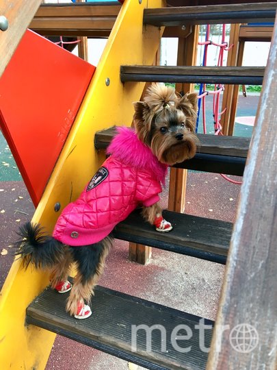 Она вообще та ещё модница! Фото Шульга Эвелина, "Metro"