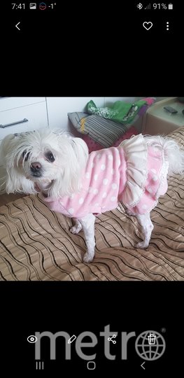 Пэрис и её образы для "красных дорожек". Фото Александр Власенко, "Metro"