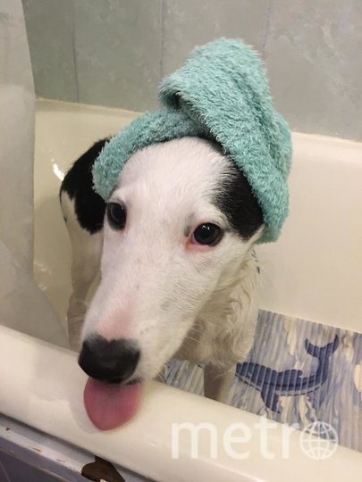 Умка наводит красоту. Фото Ольга Чуева, "Metro"