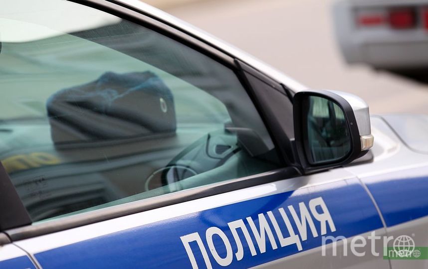 Стражи порядка пресекли наркотическую вечеринку с грибами в подмосковном лесу