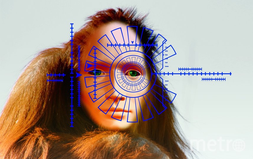 Эволюция двигает мир вперед. Фото pixabay.com, "Metro"