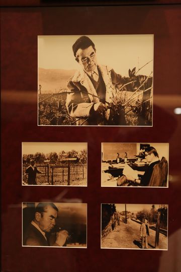 Фотографии Андрея Челищева. Фото пресс-служба посольства США в РФ