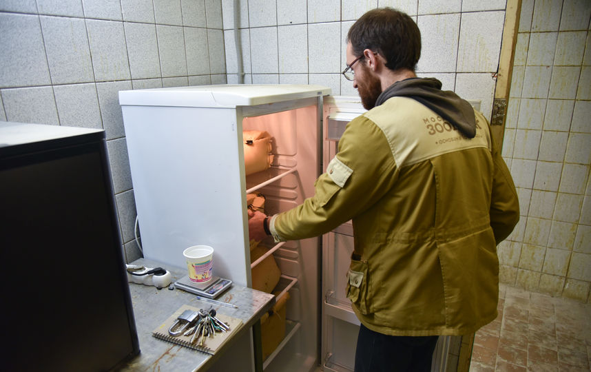 В Московском зоопарке проснулись тушканчики