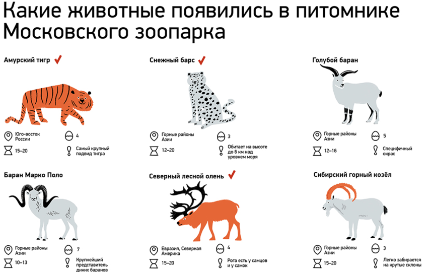 Диаграмма о животных в московском зоопарке