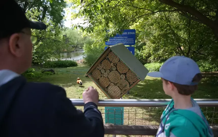В Московском зоопарке построили гостиницу для пчёл и ос. Фото Василий Кузьмичёнок