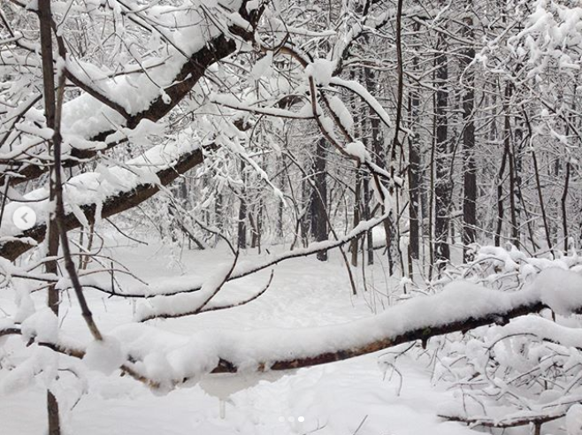 Заснеженная Москва. Фото Instagram @vivaviva23