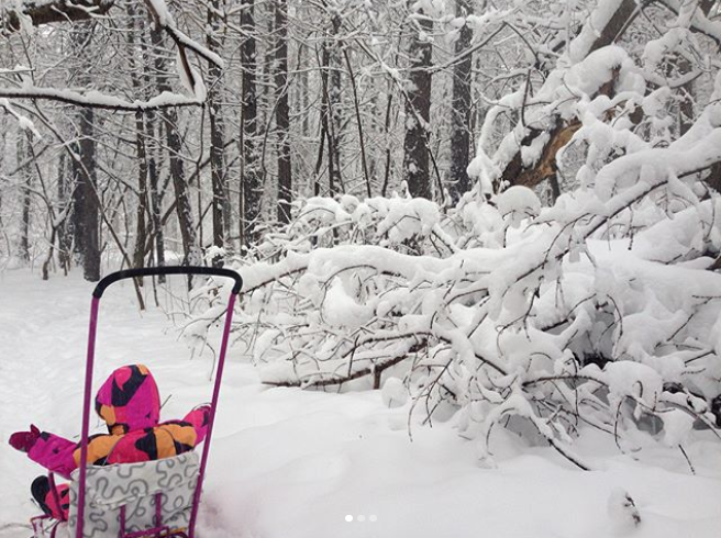 Заснеженная Москва. Фото Instagram @vivaviva23