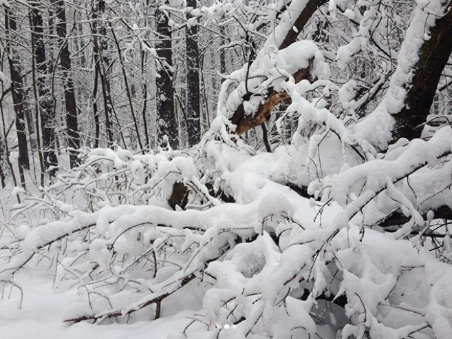 Заснеженная Москва. Фото Instagram @vivaviva23