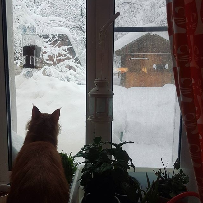 Заснеженная Москва. Фото Instagram @an.scii