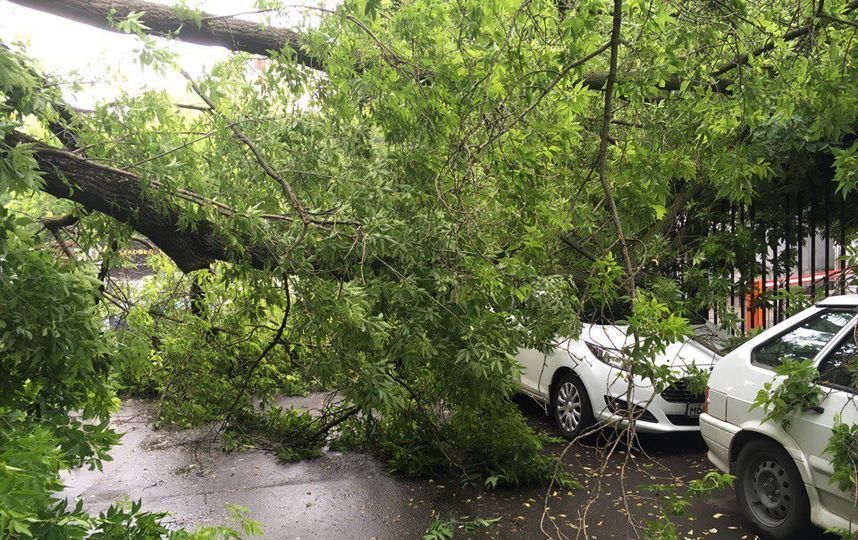 В Москве до вечера объявлено штормовое предупреждение (Архивное фото). Фото скриншот vk.com/mskdtp