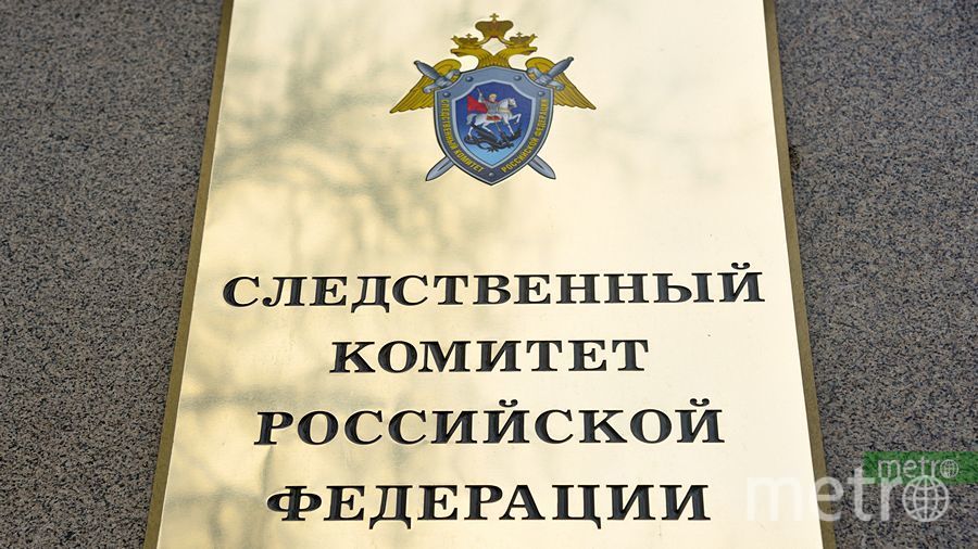 В Москве мужчина до смерти избил двухлетнего сына. Фото Василий Кузьмичёнок, "Metro"