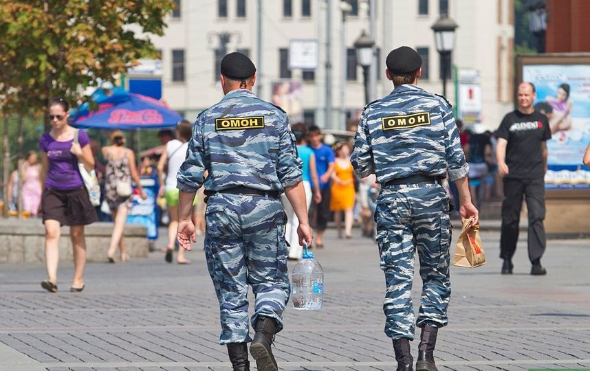 Архивное фото. Фото Василий Кузьмичёнок