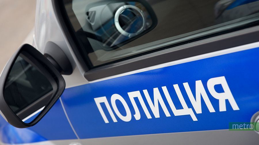В Москве на ВДНХ похитили орбиты планет на сумму в 5,6 млн рублей
