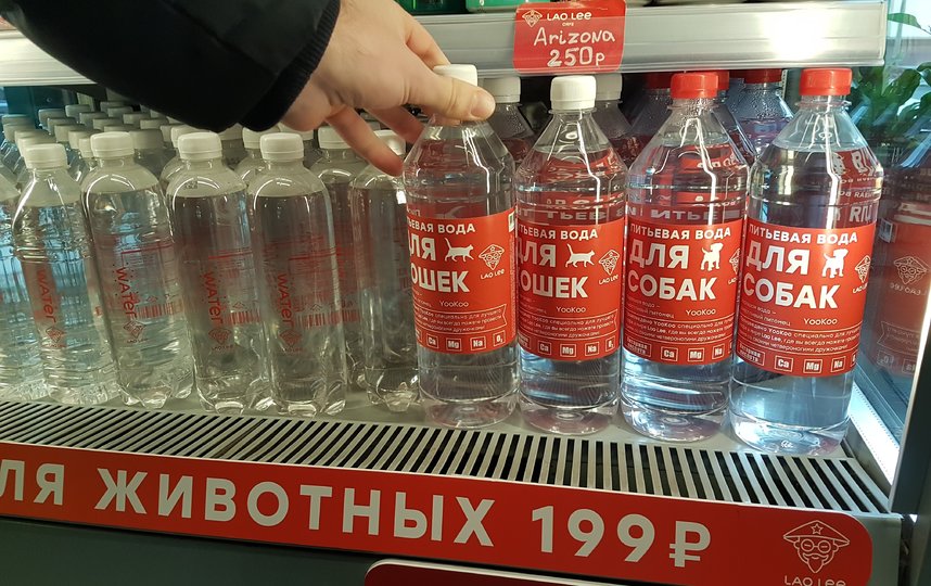 В Москве начали продавать "кошачью" и "собачью" воду: врач оценил новинку